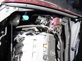2010 Acura TSX Purple 2.4L AT #A24917